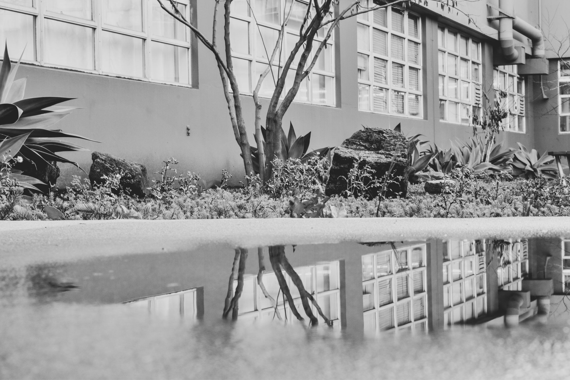 Photography Reflection